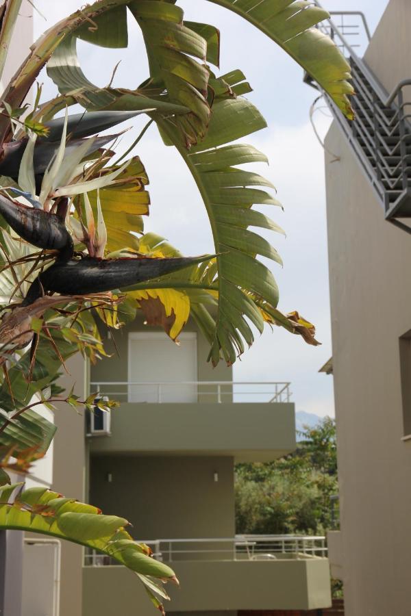Kamares Apts - Antonis Cozy Maisonette La Canea Exterior foto